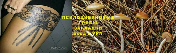 PSILOCYBIN Баксан